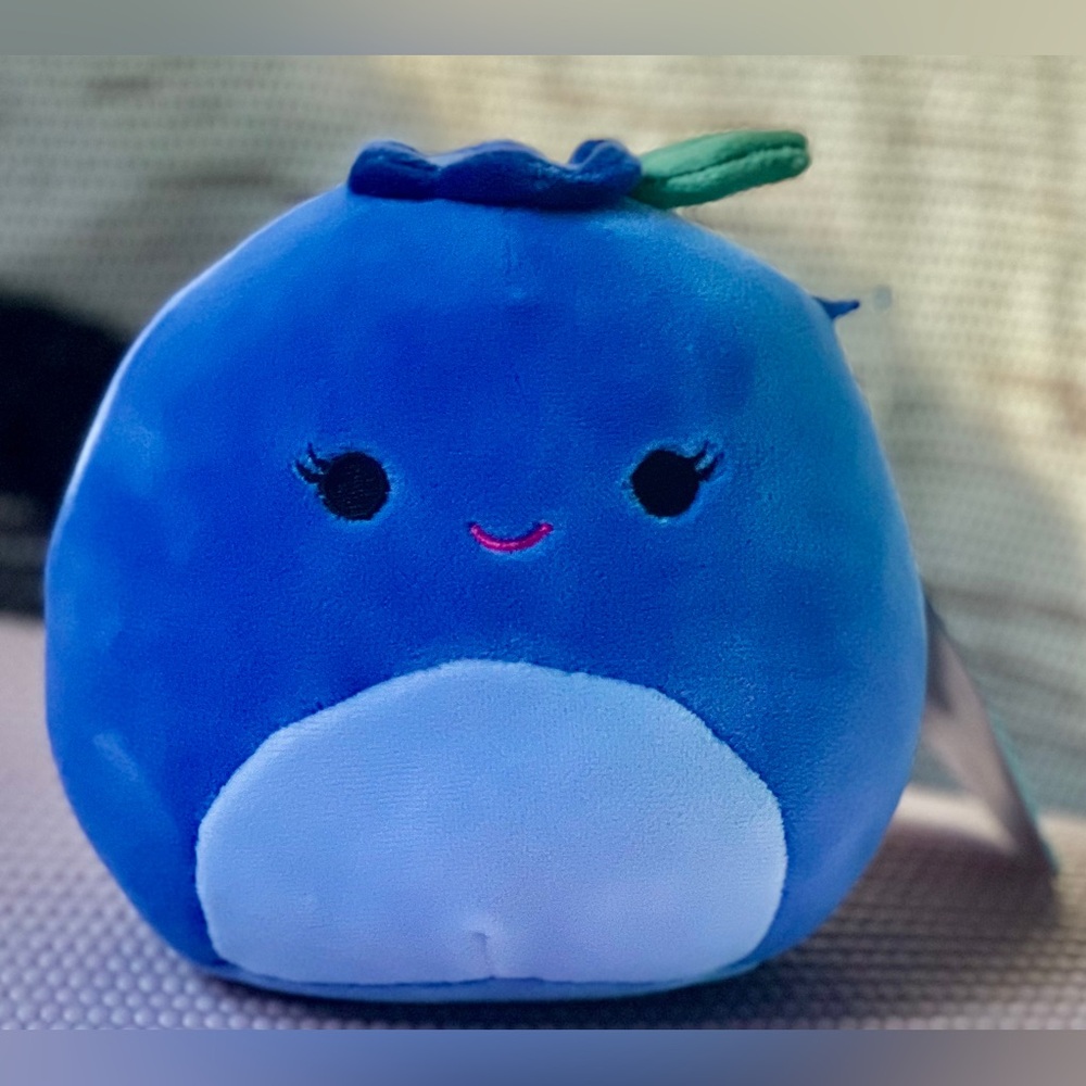 Squishmallows Bluby the Blueberry